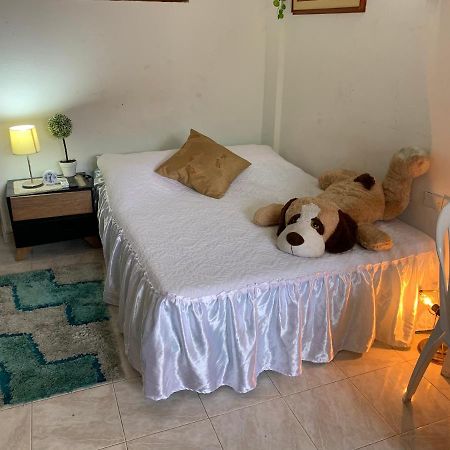 Apartamentos Y Estudios Manga Real Cartagena Dış mekan fotoğraf